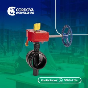 Valvula mariposa C cable ranurada HD UL FM